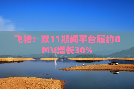 飞猪：双11期间平台履约GMV增长30%