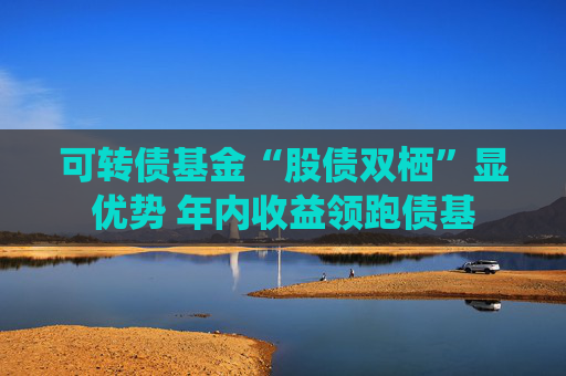 可转债基金“股债双栖”显优势 年内收益领跑债基 第1张 可转债基金“股债双栖”显优势 年内收益领跑债基 第1张