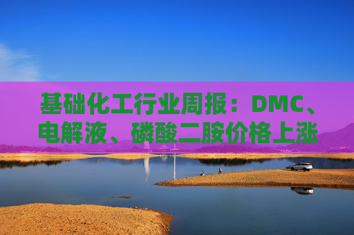 基础化工行业周报：DMC、电解液、磷酸二胺价格上涨 关注反内卷和铬盐  第1张