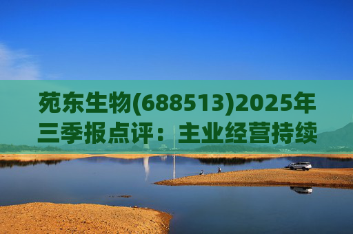苑东生物(688513)2025年三季报点评:主业经营持续改善 创新药进展顺利 第1张 苑东生物(688513)2025年三季报点评:主业经营持续改善 创新药进展顺利 第1张