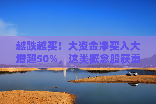 越跌越买！大资金净买入大增超50%，这类概念股获重点关注
