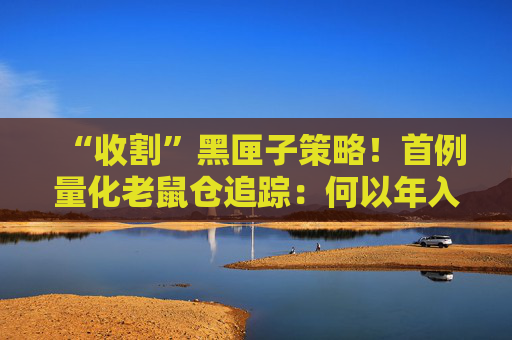“收割”黑匣子策略！首例量化老鼠仓追踪：何以年入8857万？  第1张