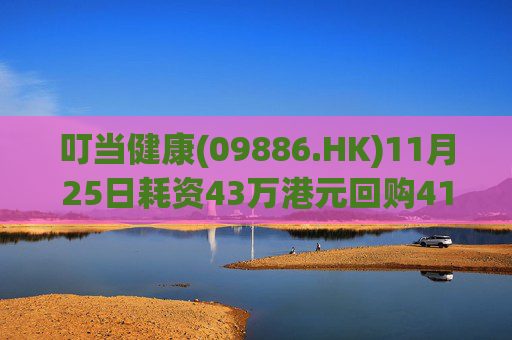 叮当健康(09886.HK)11月25日耗资43万港元回购41万股