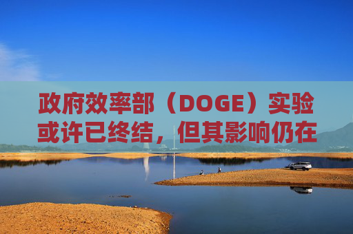 政府效率部(DOGE)实验或许已终结,但其影响仍在美企中延续