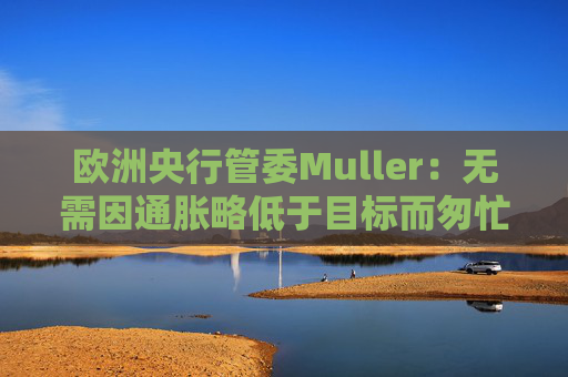 欧洲央行管委Muller：无需因通胀略低于目标而匆忙降息