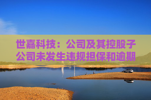 世嘉科技：公司及其控股子公司未发生违规担保和逾期担保的情形  第1张