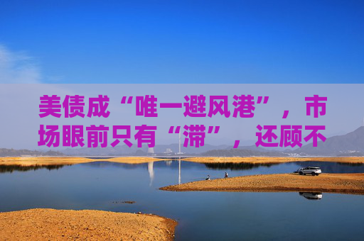 美债成“唯一避风港”，市场眼前只有“滞”，还顾不上“胀”  第1张