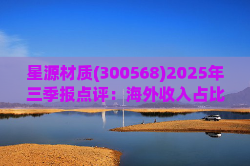 星源材质(300568)2025年三季报点评:海外收入占比提升 盈利水平改善