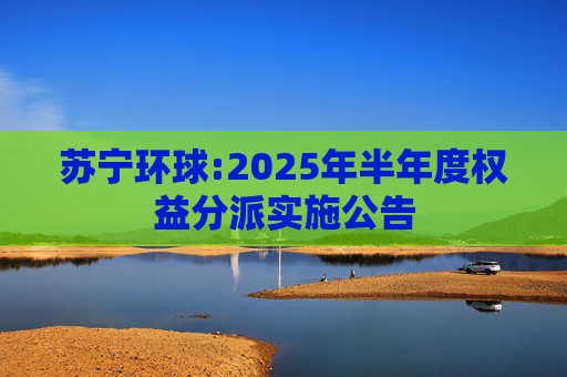 苏宁环球:2025年半年度权益分派实施公告