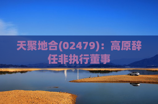 天聚地合(02479)：高原辞任非执行董事  第1张
