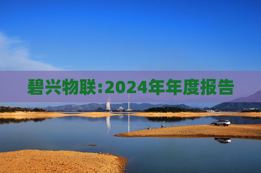 碧兴物联:2024年年度报告  第1张
