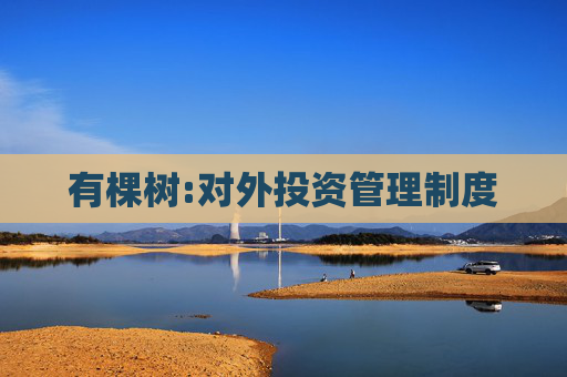 有棵树:对外投资管理制度  第1张