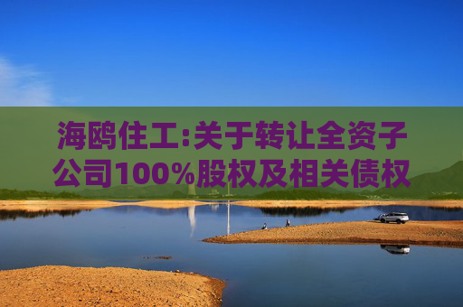 海鸥住工:关于转让全资子公司100%股权及相关债权暨债务豁免的公告