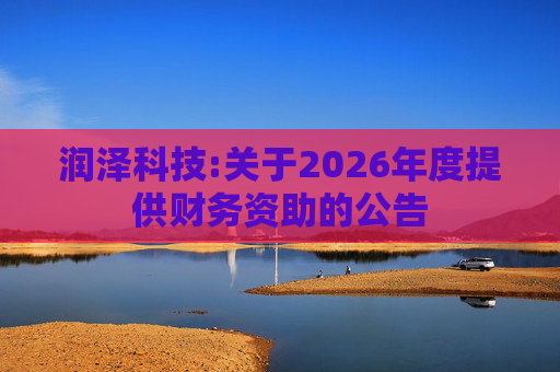 润泽科技:关于2026年度提供财务资助的公告  第1张