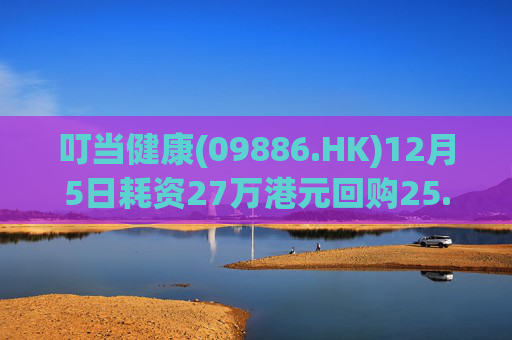 叮当健康(09886.HK)12月5日耗资27万港元回购25.5万股  第1张