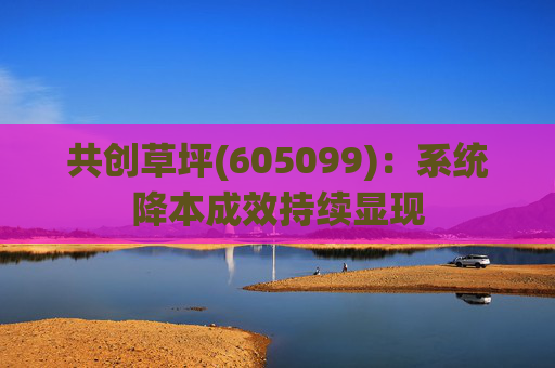 共创草坪(605099)：系统降本成效持续显现