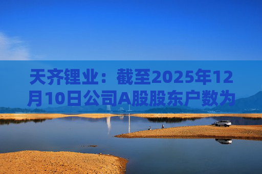 天齐锂业：截至2025年12月10日公司A股股东户数为307706户  第1张
