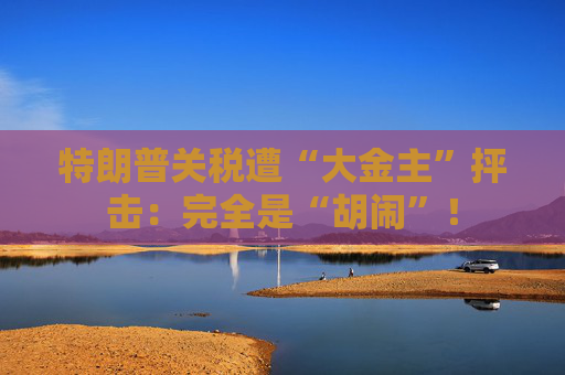 特朗普关税遭“大金主”抨击：完全是“胡闹”！