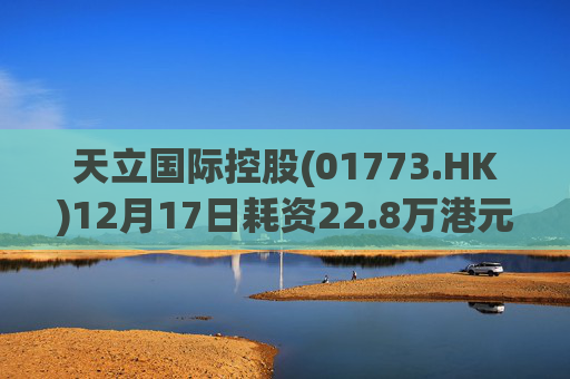 天立国际控股(01773.HK)12月17日耗资22.8万港元回购10万股