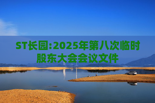 ST长园:2025年第八次临时股东大会会议文件