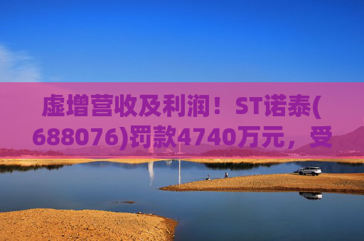 虚增营收及利润！ST诺泰(688076)罚款4740万元，受损投资者可索赔！  第1张