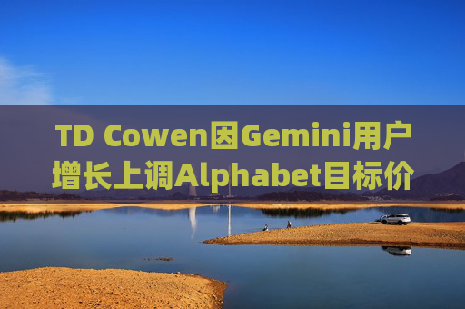 TD Cowen因Gemini用户增长上调Alphabet目标价