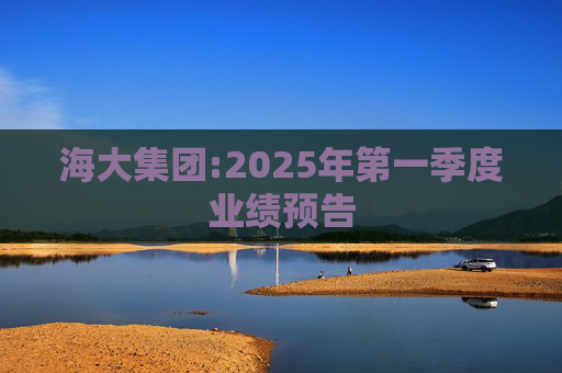 海大集团:2025年第一季度业绩预告  第1张