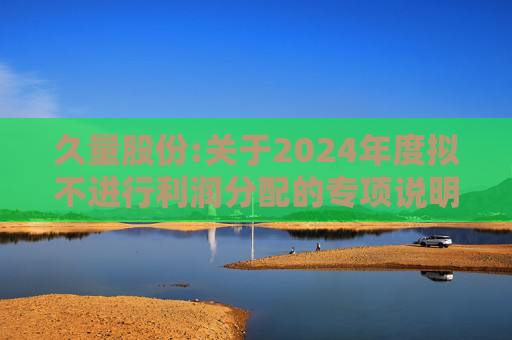 久量股份:关于2024年度拟不进行利润分配的专项说明