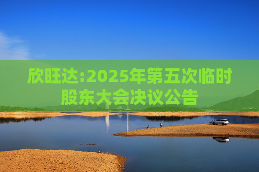 欣旺达:2025年第五次临时股东大会决议公告