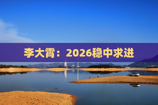 李大霄：2026稳中求进