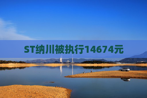 ST纳川被执行14674元