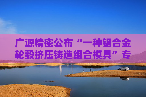 广源精密公布“一种铝合金轮毂挤压铸造组合模具”专利  第1张