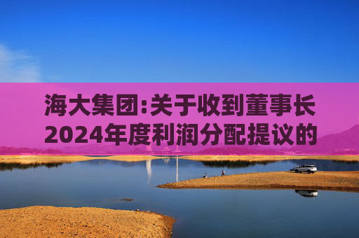 海大集团:关于收到董事长2024年度利润分配提议的公告