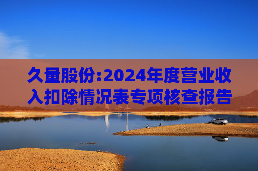 久量股份:2024年度营业收入扣除情况表专项核查报告  第1张