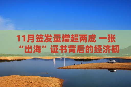 11月签发量增超两成 一张“出海”证书背后的经济韧性