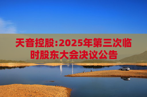 天音控股:2025年第三次临时股东大会决议公告