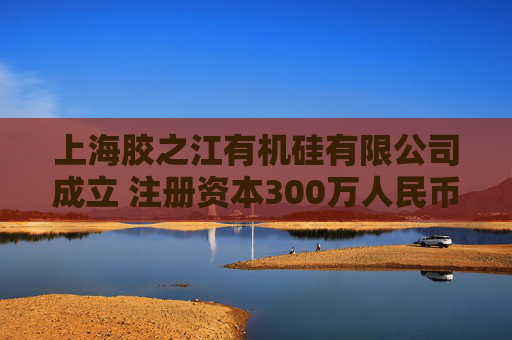 上海胶之江有机硅有限公司成立 注册资本300万人民币