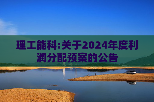 理工能科:关于2024年度利润分配预案的公告  第1张