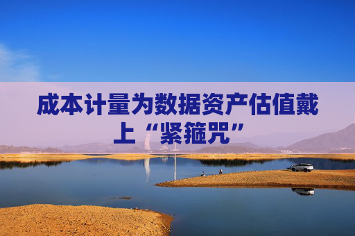 成本计量为数据资产估值戴上“紧箍咒”