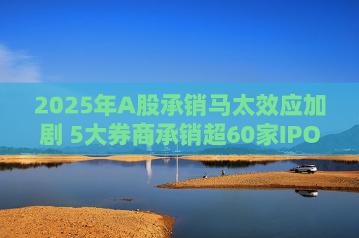 2025年A股承销马太效应加剧 5大券商承销超60家IPO