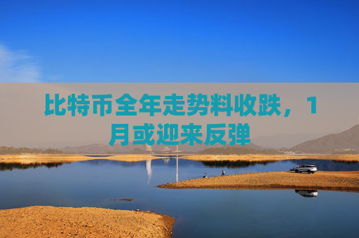 比特币全年走势料收跌，1月或迎来反弹