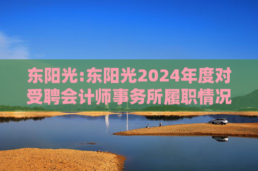 东阳光:东阳光2024年度对受聘会计师事务所履职情况的评估报告