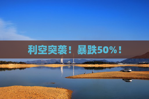 利空突袭！暴跌50%！  第1张