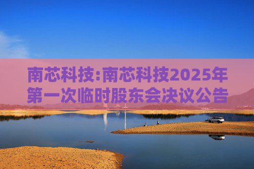 南芯科技:南芯科技2025年第一次临时股东会决议公告