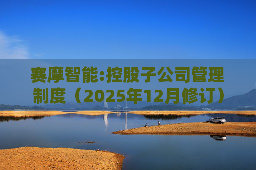 赛摩智能:控股子公司管理制度（2025年12月修订）