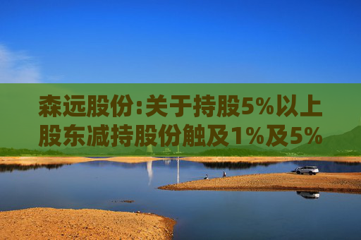 森远股份:关于持股5%以上股东减持股份触及1%及5%整数倍暨披露简式权益变动报告书的提示性公告