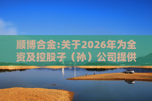 顺博合金:关于2026年为全资及控股子（孙）公司提供担保的公告  第1张