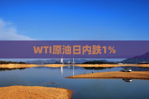 WTI原油日内跌1%  第1张
