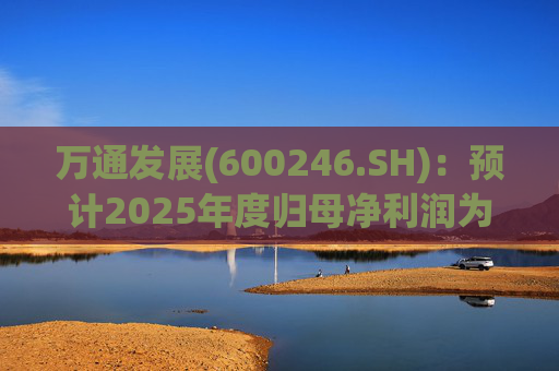 万通发展(600246.SH)：预计2025年度归母净利润为负值
