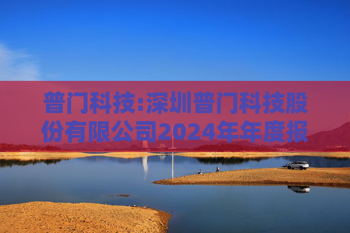 普门科技:深圳普门科技股份有限公司2024年年度报告